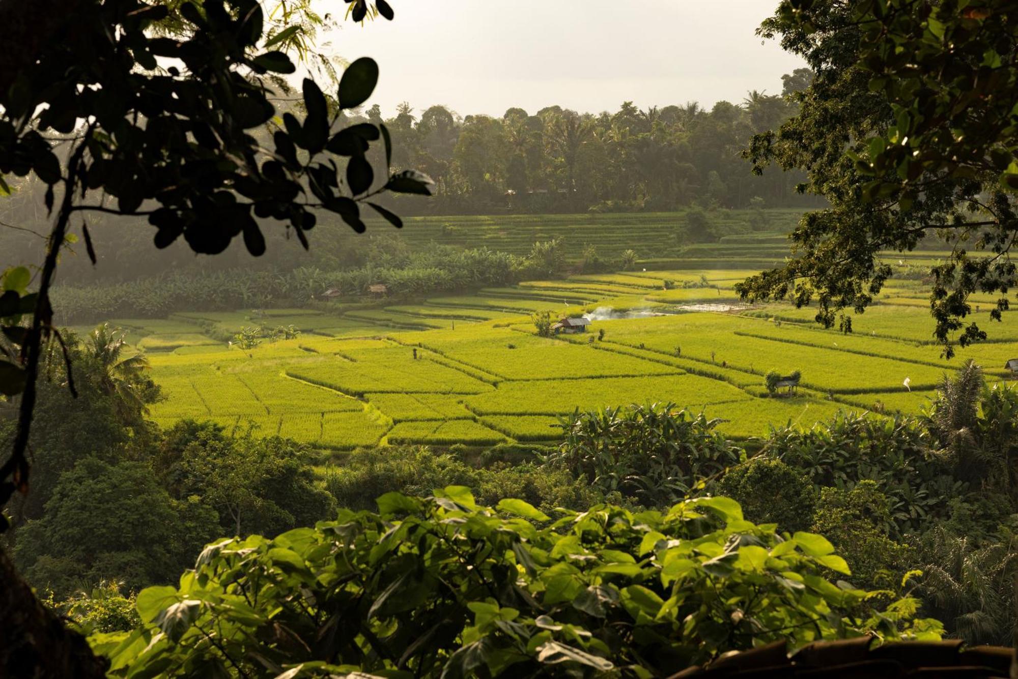 Bambu Indah Resort Ubud Exterior foto